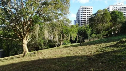 Lote/Terreno à venda, 6395m² no Itacorubi, Florianópolis