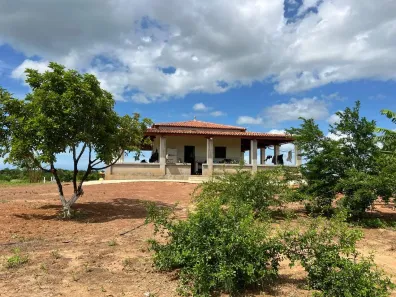 Fazenda/Sítio com 2 Quartos à venda, 420000m² no , São Miguel do Gostoso