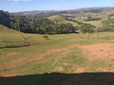 Fazenda/Sítio com 3 Quartos à venda, 5000m² no , Tuiuti
