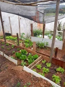 Lote/Terreno à venda, 146m² no Morro Alto, Itupeva