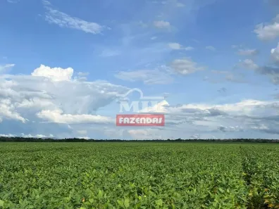 Fazenda/Sítio à venda, 500m² no , Porto Nacional