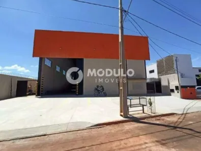 Galpão/Depósito/Armazém para alugar, 600m² no Loteamento Centro Empresarial Leste III, Uberlândia
