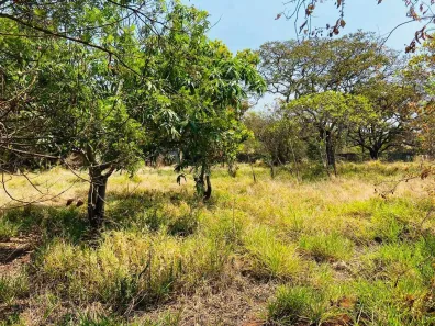 Fazenda/Sítio à venda, 1000m² no Vivenda Santa Mônica, Igarapé