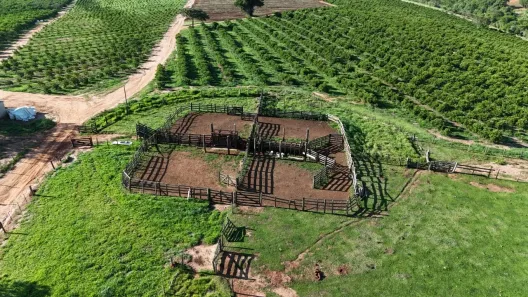 Fazenda/Sítio com 3 Quartos à venda, 4114000m² no , Angatuba