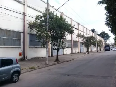 Galpão/Depósito/Armazém para alugar, 9507m² no Vila Ribeiro de Barros, São Paulo