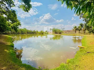 Fazenda/Sítio com 4 Quartos à venda, 50000m² no Setor Central, Terezópolis de Goiás