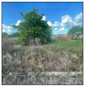 Lote/Terreno à venda, 50m² no Dourado, Horizonte