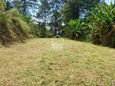 Lote/Terreno com 1 Quarto à venda, 2176m² no Vila Baependi, Jaraguá do Sul