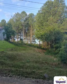 Lote/Terreno à venda, 250m² no Aliança, Santa Cruz do Sul