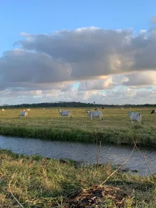 Fazenda/Sítio com 6 Quartos à venda, 300000m² no , Ceará-Mirim