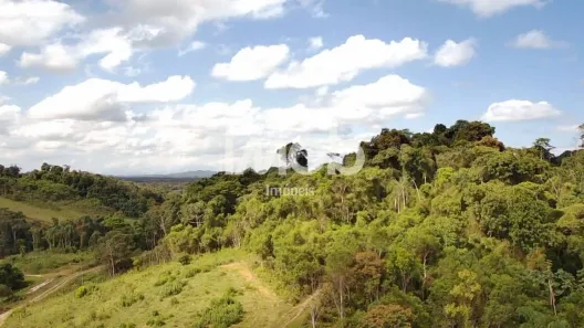 Lote/Terreno à venda, 294982m² no , Araquari