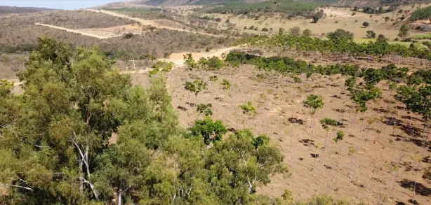 Lote/Terreno à venda, 20000m² no , Cordisburgo