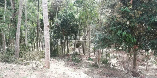 Lote/Terreno à venda, 1500m² no Barra do Imbuí, Teresópolis