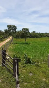 Fazenda/Sítio com 1 Quarto à venda, 130000m² no Centro-Norte, Cuiabá