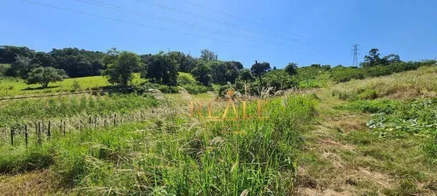 Lote/Terreno à venda, 41000m² no Morro das Pedras, Valinhos