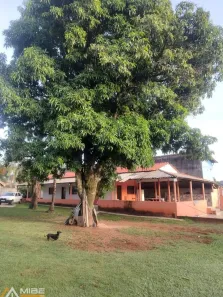 Fazenda/Sítio à venda, 260m² no Parque Dante Marmirolli, Sumaré
