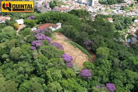 Lote/Terreno à venda, 22800m² no Garcia, Blumenau