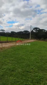 Fazenda/Sítio com 1 Quarto à venda, 6130m² no Área Rural de São José dos Pinhais, São José dos Pinhais