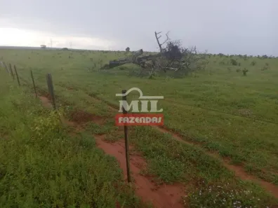 Fazenda/Sítio à venda, 500m² no , Primavera do Leste