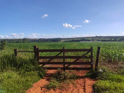 Fazenda/Sítio com 3 Quartos à venda, 280000m² no Taquara, Brasília