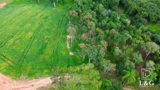 Fazenda/Sítio à venda, 20000m² no , Campo Alegre