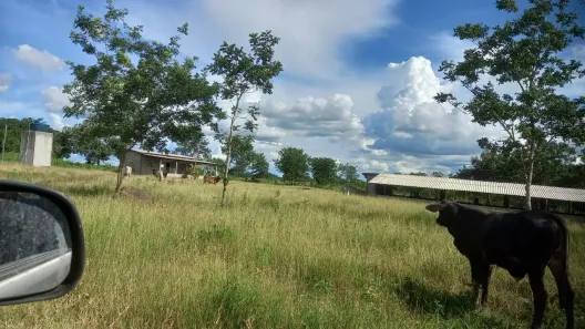 Fazenda/Sítio com 1 Quarto à venda, 20000m² no , Bela Vista de Goiás