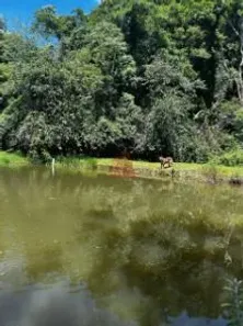 Fazenda/Sítio com 3 Quartos à venda, 13000m² no Alto do Sabiá e Tijoleiro (São João Novo), São Roque