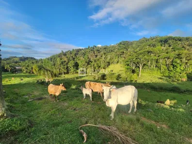 Fazenda/Sítio à venda, 290000m² no , Rancho Queimado