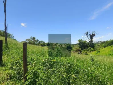 Fazenda/Sítio à venda, 2590m² no , Goianápolis