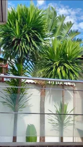 Casa com 6 Quartos à venda, 394m² no Jardim América, Goiânia