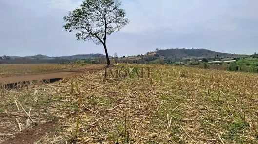 Lote/Terreno à venda, 96800m² no , Uraí