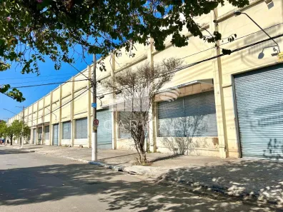 Galpão/Depósito/Armazém para alugar, 11300m² no Vila Ribeiro de Barros, São Paulo
