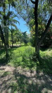 Fazenda/Sítio à venda, 7200m² no , Silva Jardim