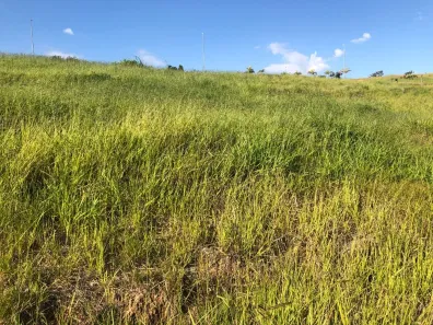Lote/Terreno à venda, 490m² no Jardim Bandeirantes, Santana de Parnaíba