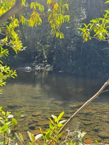 Fazenda/Sítio à venda, 40000m² no , Alto Paraíso de Goiás