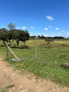 Lote/Terreno à venda, 20000m² no , Urupema