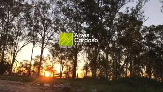 Fazenda/Sítio com 4 Quartos à venda, 72600m² no Zona Rural, Porangaba