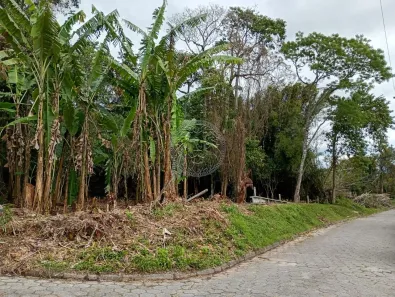 Lote/Terreno à venda, 28530m² no Ribeirão da Ilha, Florianópolis