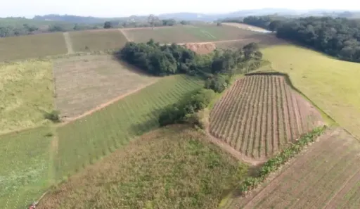 Fazenda/Sítio com 2 Quartos à venda, 73000m² no Jardim Rosaura, Jundiaí