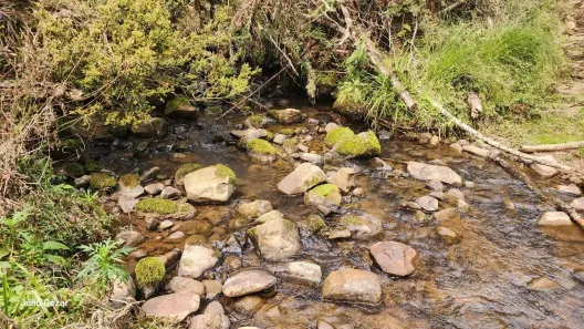 Lote/Terreno à venda, 70000m² no , Urubici