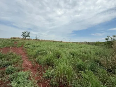 Fazenda/Sítio à venda, 142780m² no Área Rural de Boracéia, Boracéia