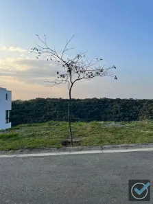 Lote/Terreno à venda, 490m² no Quintas do Ingaí, Santana de Parnaíba