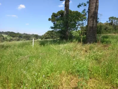Lote/Terreno à venda, 40000m² no Centro, Campo Largo