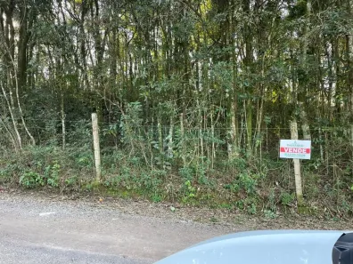Lote/Terreno à venda, 10062m² no Pedancino, Caxias do Sul