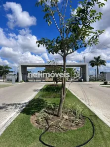 Lote/Terreno à venda, 220m² no Registro, Feira de Santana