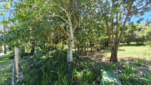 Lote/Terreno à venda, 392m² no Pântano do Sul, Florianópolis