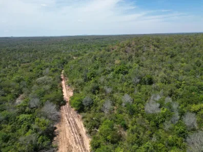 Fazenda/Sítio à venda, 8140000m² no , Carolina