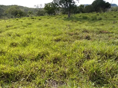 com 1 Quarto à venda, 110m² no , Claraval