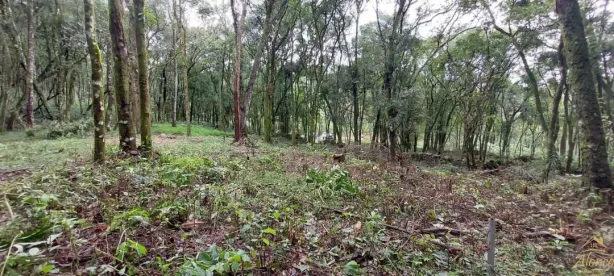 Lote/Terreno à venda, 21000m² no , Nova Petrópolis