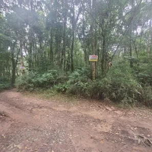Lote/Terreno à venda, 1167m² no da Capelinha, Cotia